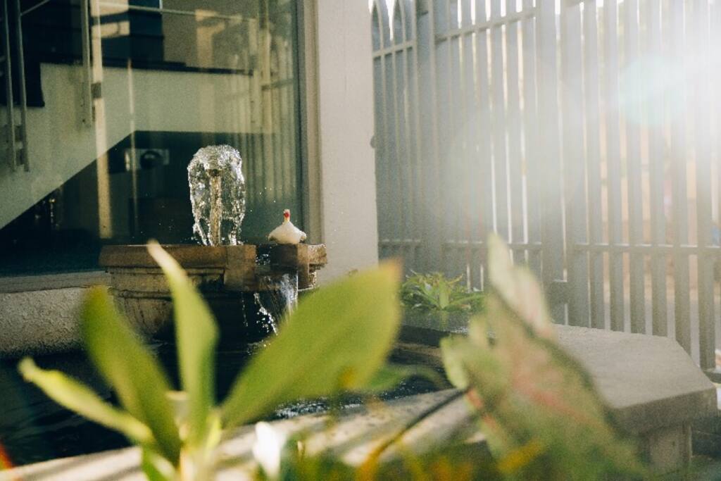 Rachel's Garden :)