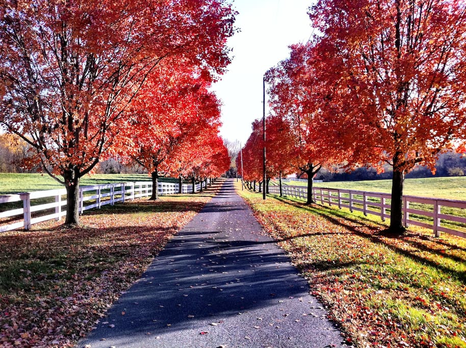Spectacular colors of November!