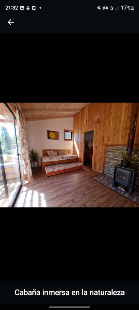 Top performing Airbnb: Nativa Santa Cabins in Pucón