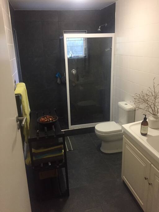 Second Bathroom (shower)