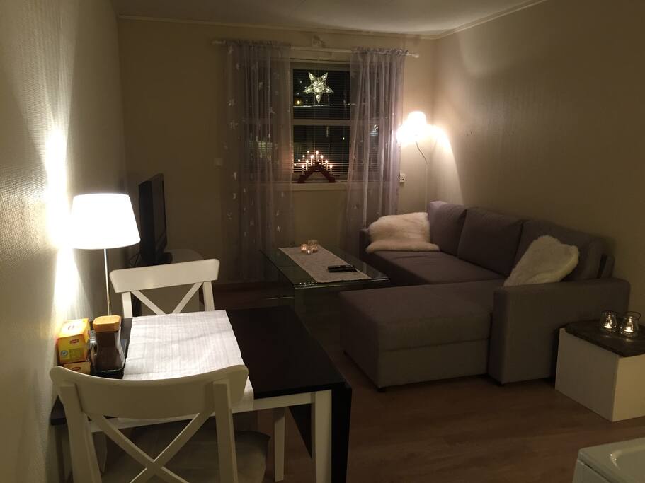 Kitchen/livingroom
