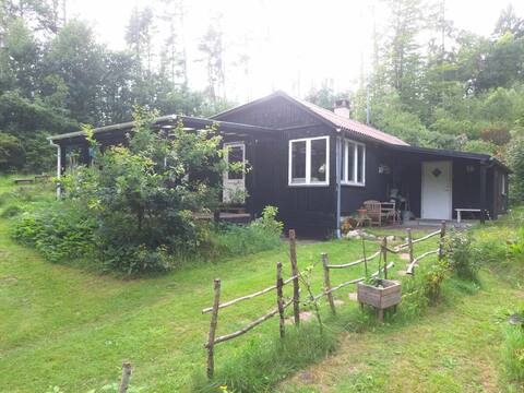 Cottage in the woods