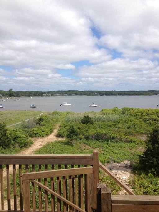 View of the pond from the back deck