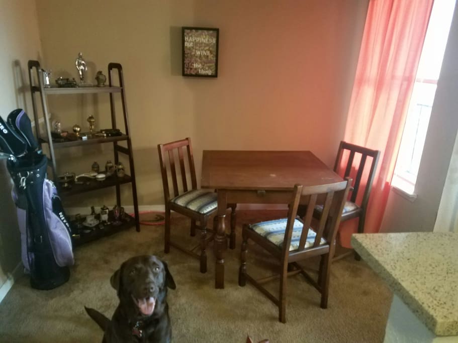 Dog not included! ;)