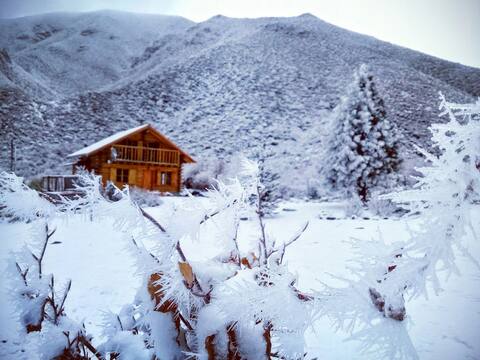 La Araucaria- Cabaña Andina
