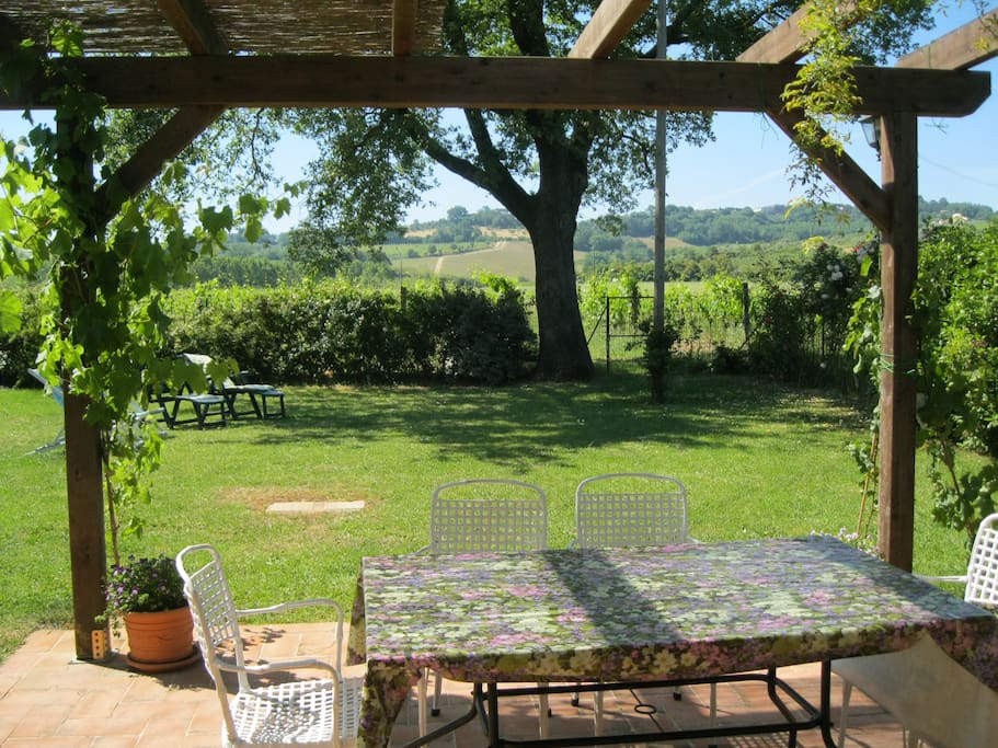private garden seen from downstairs living area