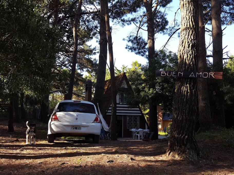 Cabaña en gran lote boscoso