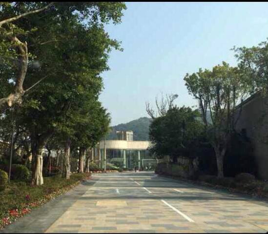 Green and tranquil, a house that breathes gallery image 3