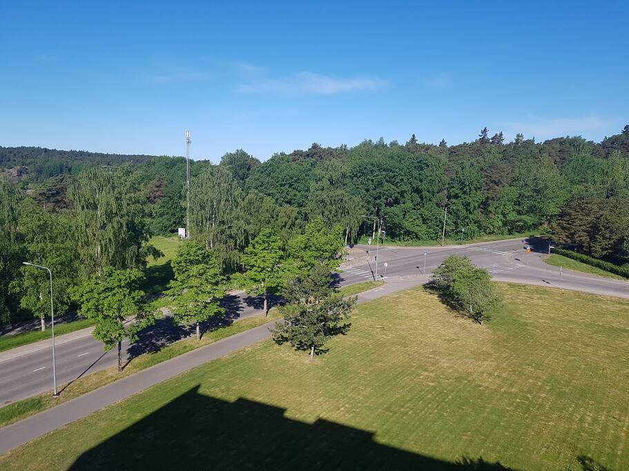 View from the balcony