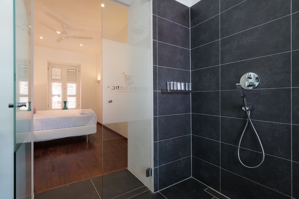 Renovated bathroom with a rainshower