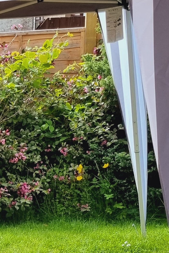 The image captures a corner of a tent, partially open, revealing lush greenery and colorful flowers in the garden. Vibrant plants and yellow blooms add visual interest, while the grass provides a soft, natural ground cover. The scene conveys a serene outdoor space.