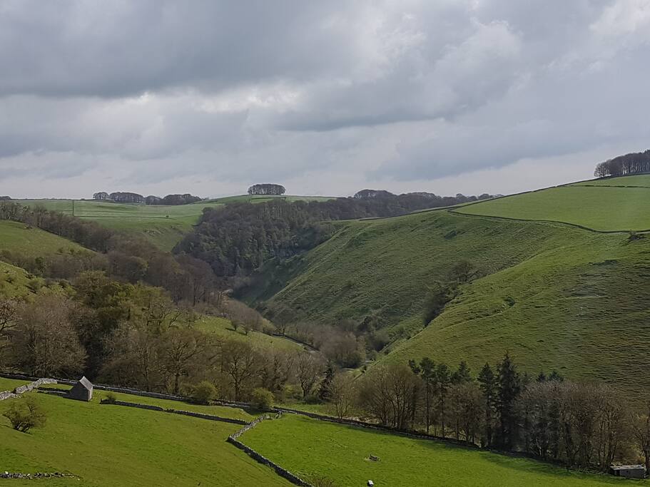 Local scenery