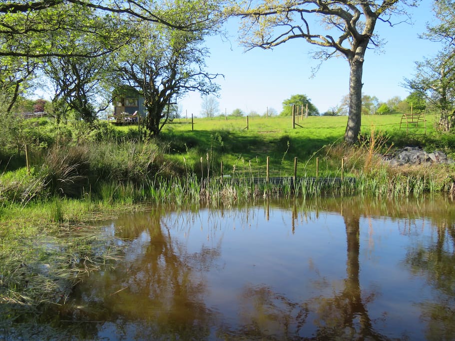 View of the shepherd's hut from the lake