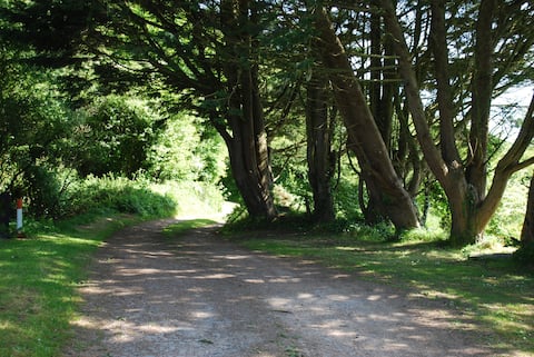 Remote Cottage near Kilmore Quay