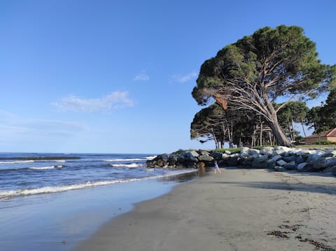 Villa with pool near the sea
