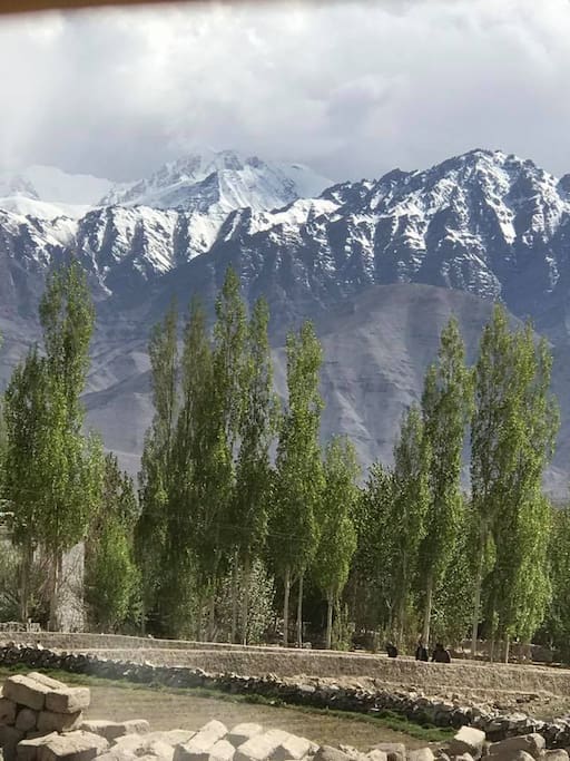 The view of Stok Kangri from the home