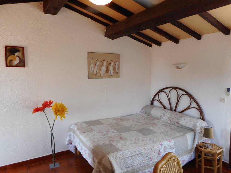 intérieur du studio avec salle de bains et coin cuisine