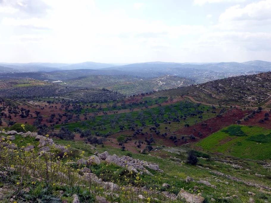 Landscape around the place