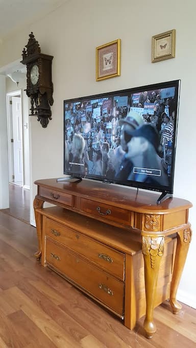 Smart TV with Netflix