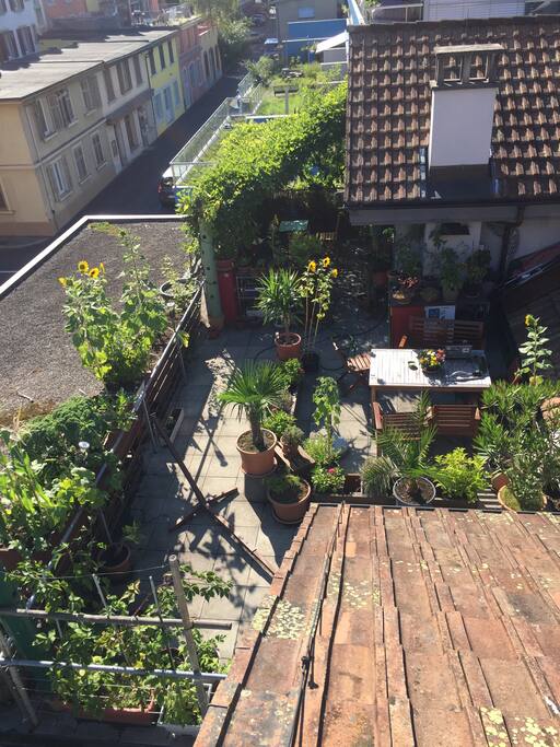 URBAN GARDEN