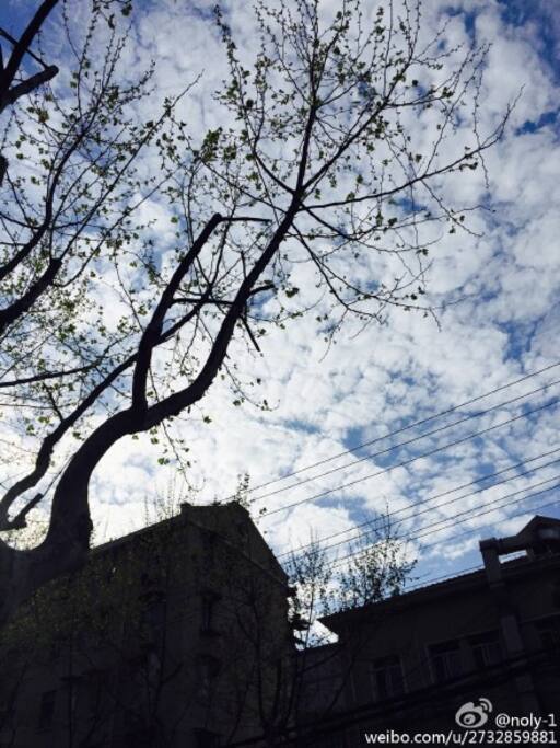空气情绪、蓝天白云
