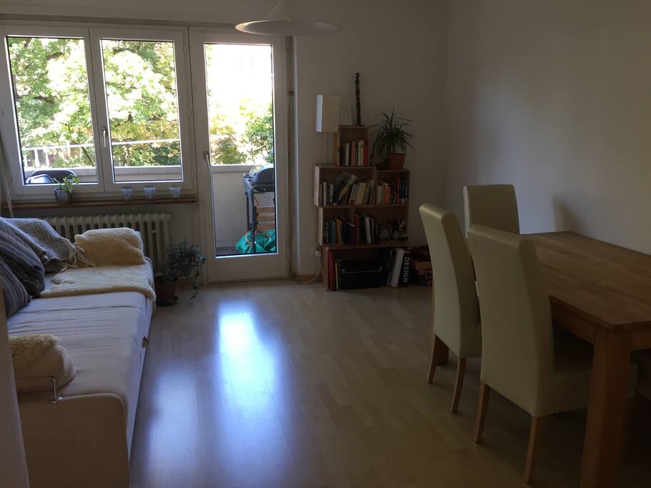 Living room with sleeping couch