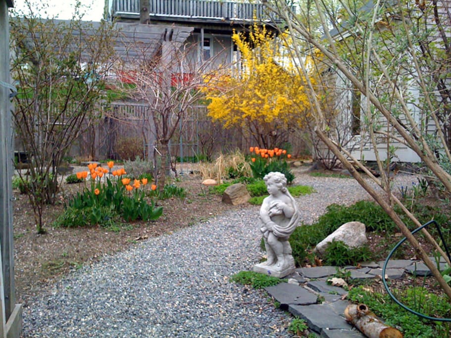 The Garden in Early Spring