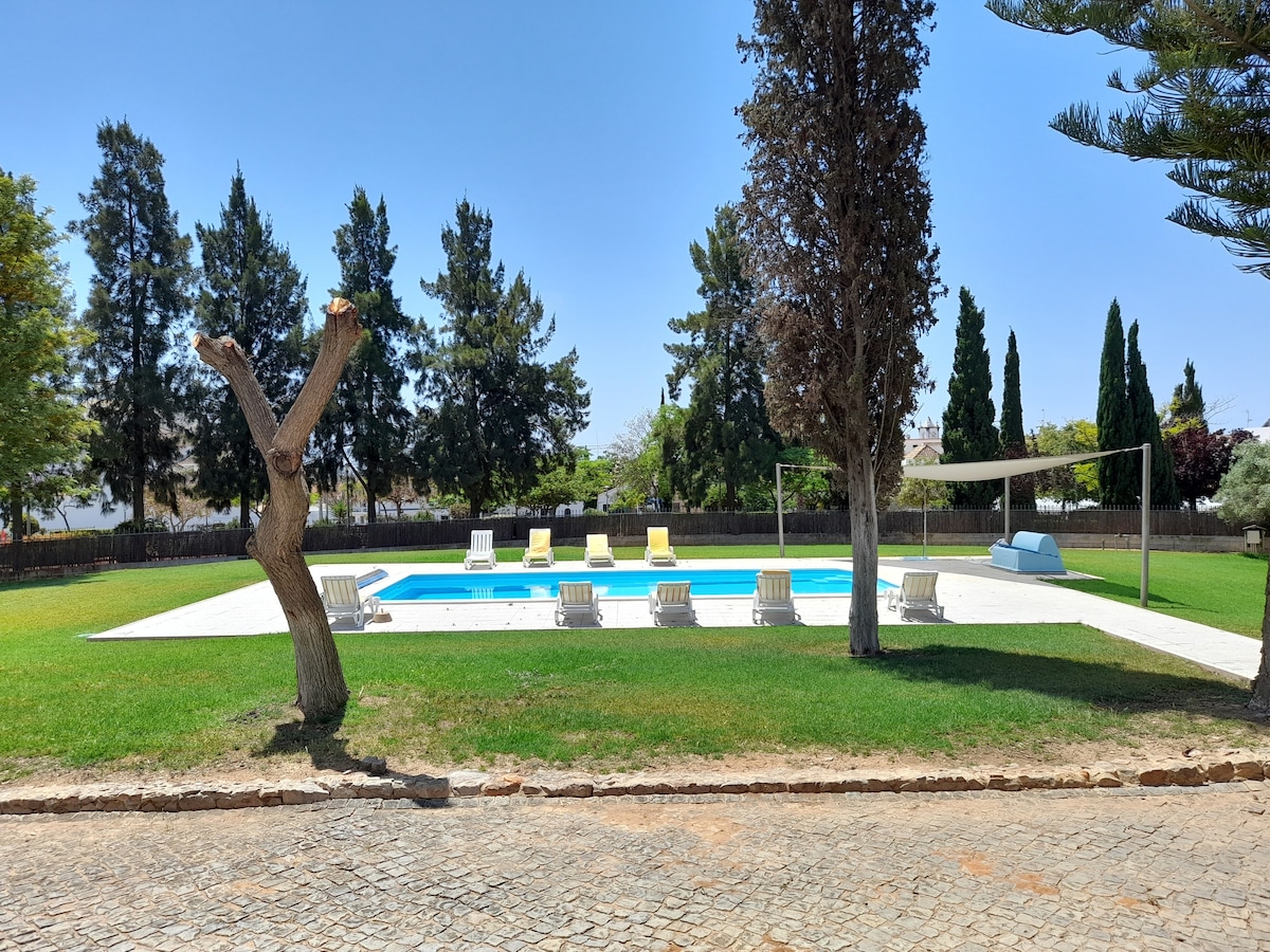 A spacious outdoor area features a large saltwater pool surrounded by well-maintained grass. Several sun loungers are positioned around the pool, providing ample seating. Trees offer shade, enhancing the relaxing atmosphere of the garden.