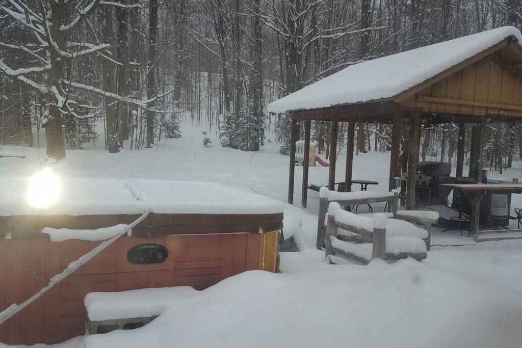 Wolverine paradise! Complete with hot tub, back yard bbq, and cabana.