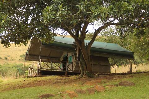 Hlomo Hlomo Game Reserve & Camp