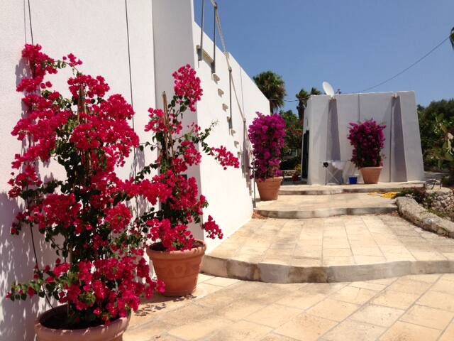 Beautiful Villa between olive trees and the sea