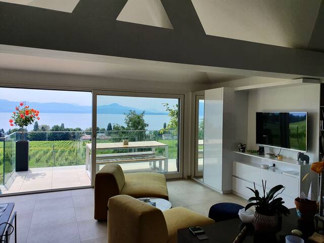 Splendid flat with terrace, lake view, jaccuzi. gallery image 3