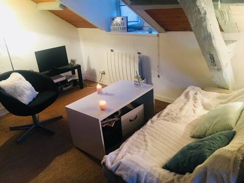 Appartement Rouen Hyper centre F2