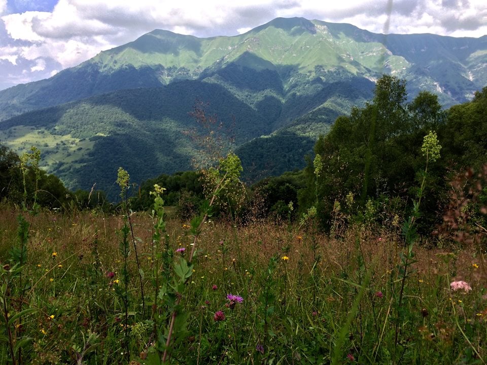 Lush green mountains rise in the background, framed by a vibrant wildflower meadow in the foreground. Various colorful flowers dot the landscape, with different shades of green covering the hills. The sky is partly cloudy, adding depth to the serene natural scene.