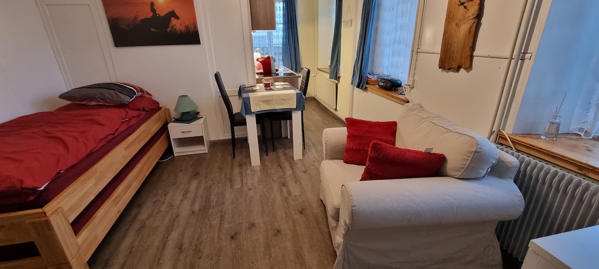 A compact living area features a wooden bed with a red blanket, paired with a neutral sofa adorned with red cushions. A small table and black chair are positioned nearby, while natural light enters through a window, reflecting off the wooden flooring.