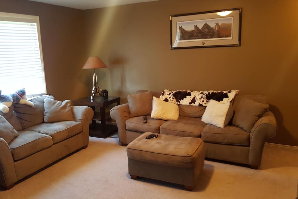 Private area in basement includes Sofa, Love Seat and Chair (not in photo)