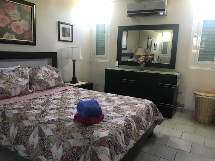 Master bedroom with Queen bed.