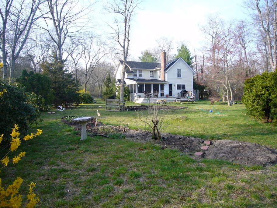 View of house from garden