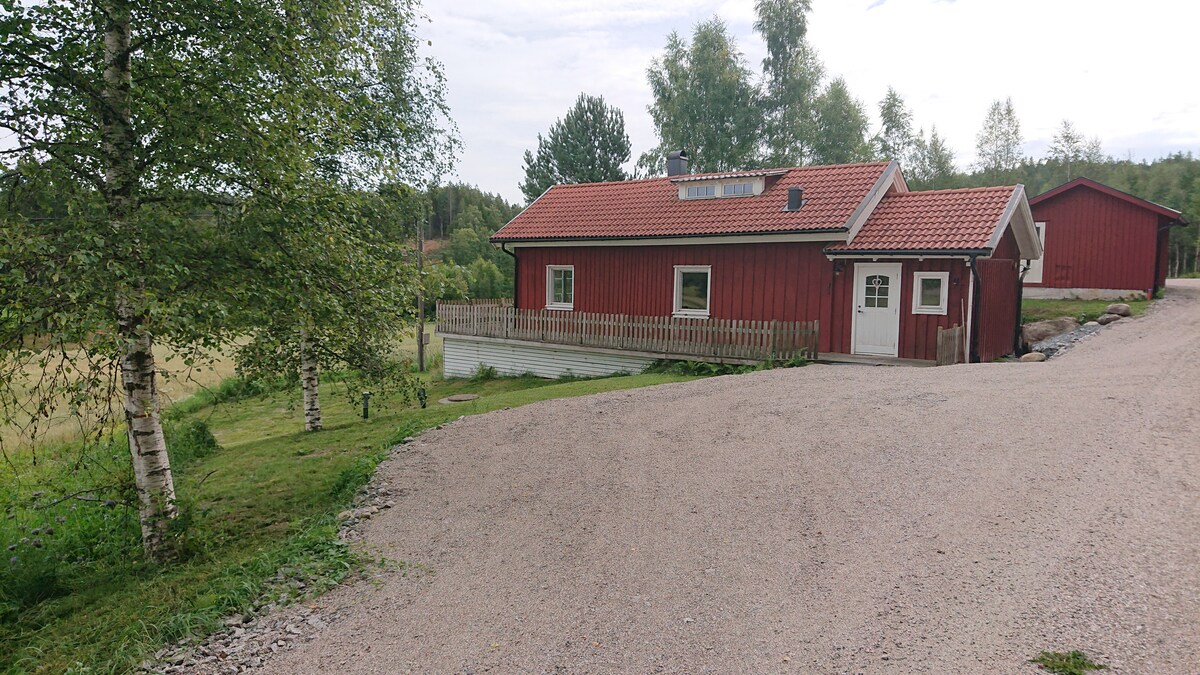 A red wooden cabin is set against a backdrop of greenery, featuring a sloped roof and a welcoming porch. It is surrounded by trees and a gravel pathway, with a spacious yard leading towards a field in the distance.