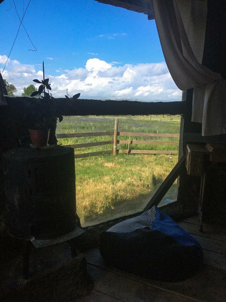 A rustic window frames a lush green landscape, with a wooden fence and rolling fields visible in the distance. Sunlight filters through the window, illuminating a cozy indoor space adorned with a small potted plant. The atmosphere suggests a peaceful connection to nature.