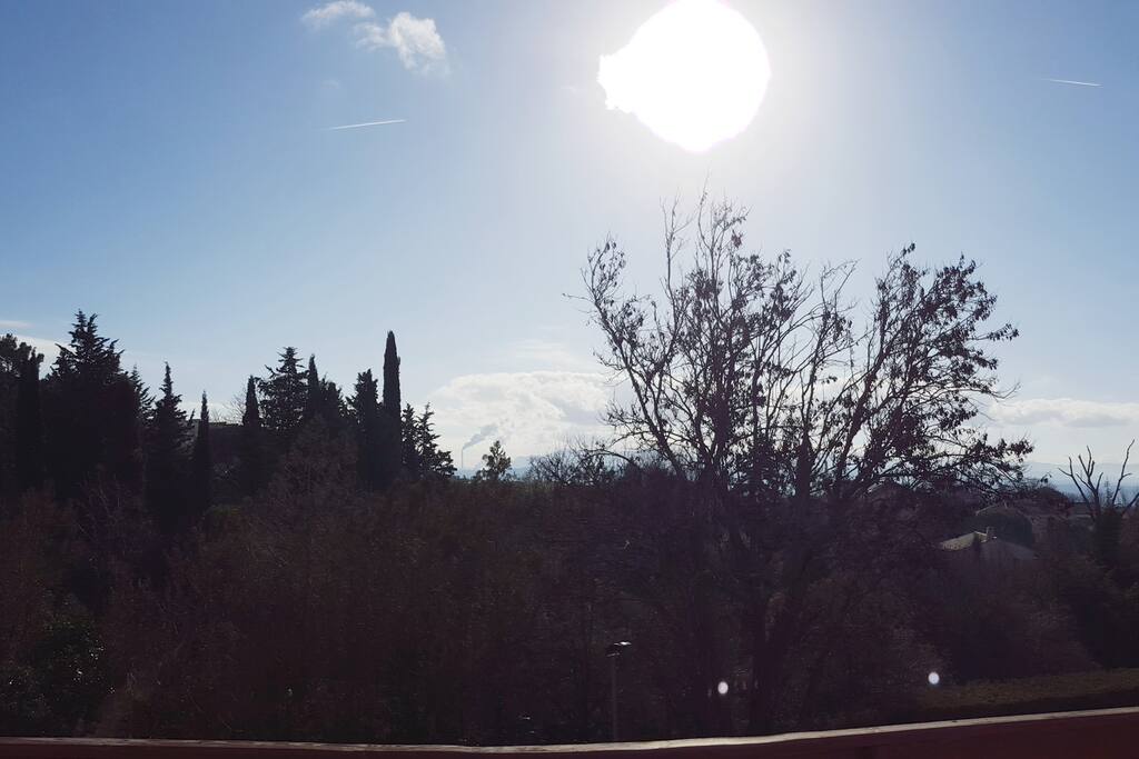 La vue depuis la terrasse