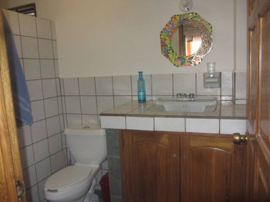 Bathroom, large shower