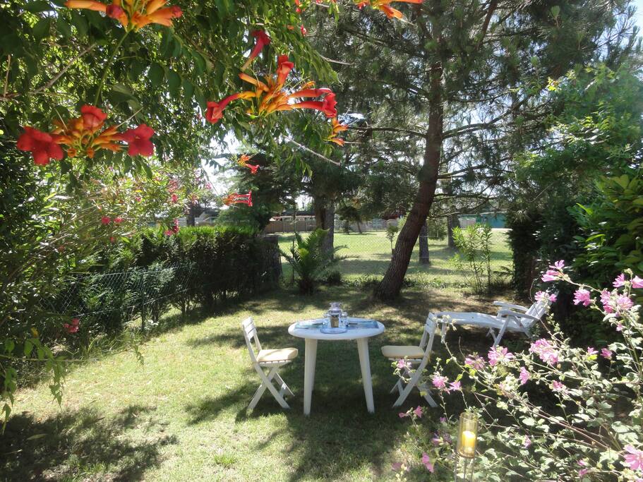 Jardin