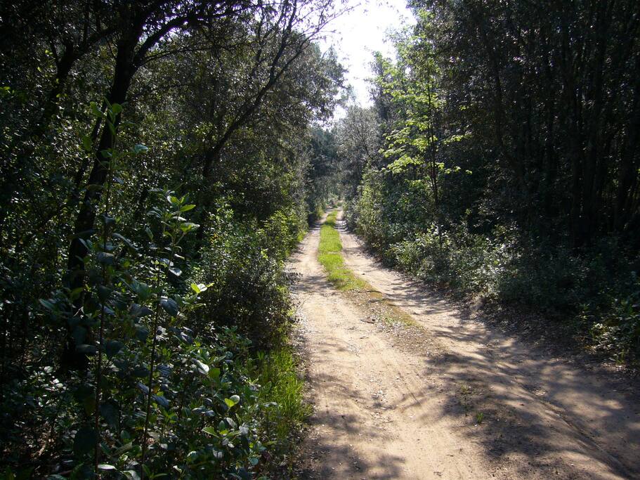 LE CHEMIN QUI MENE A LA MAISON