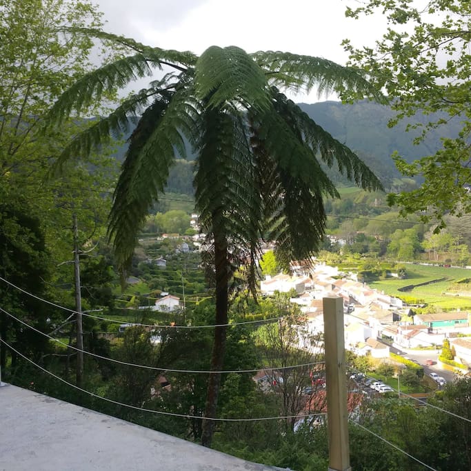 lower terrace