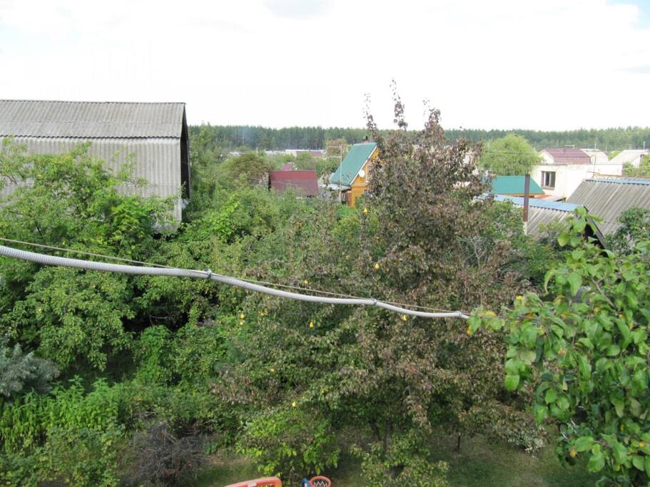 беседка