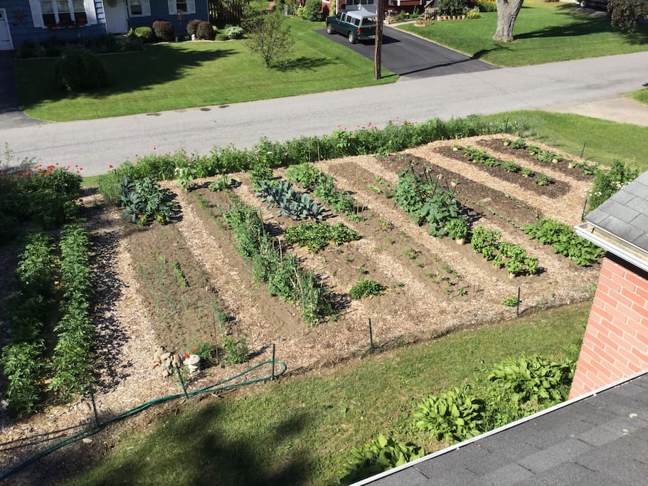 Large front yard garden.