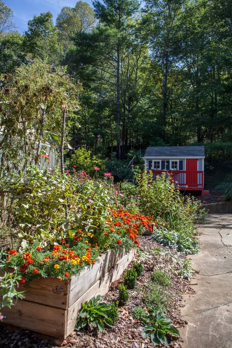 The garden and garden shed.