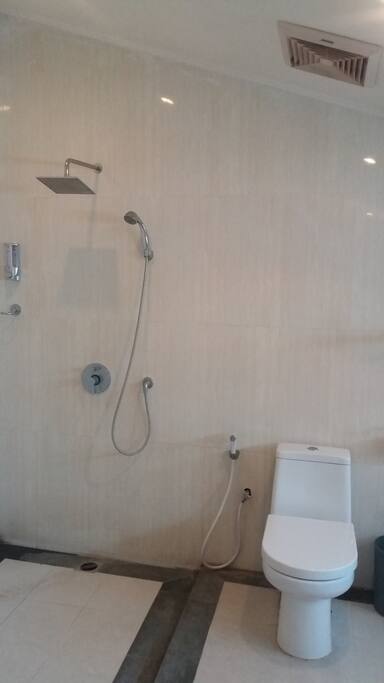 Shower and Toilet