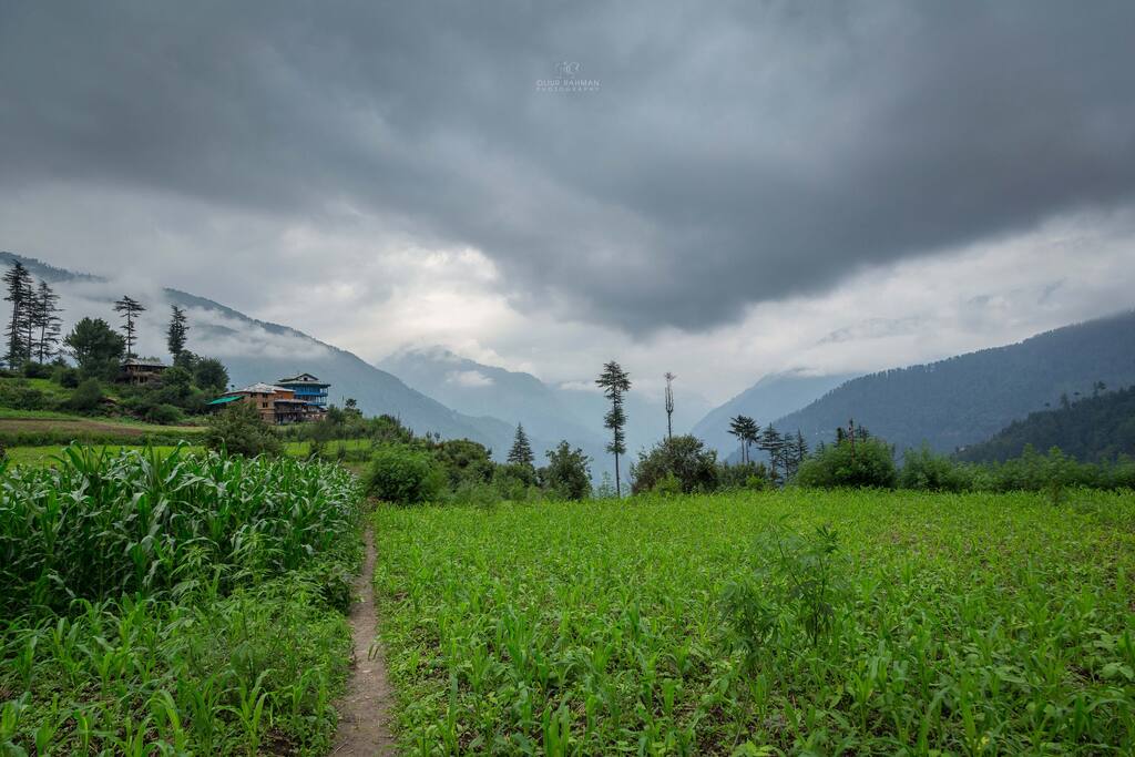 Village